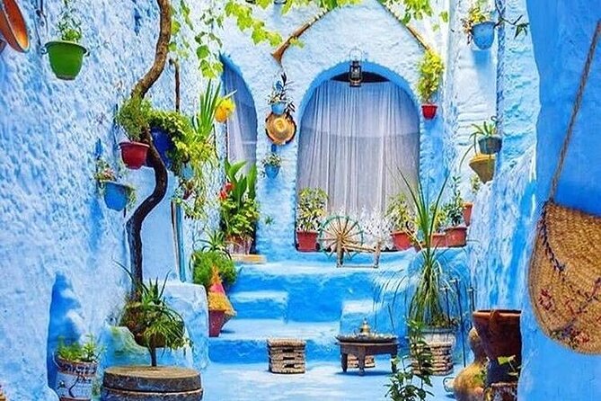 Full-Day Tour to the Blue City Chefchaouen on Small-Group - Key points at a glance
