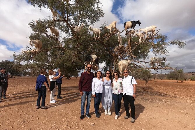 Full Day Trip To Essaouira city - Departure From Marrakech - Lunch at About 1:00pm