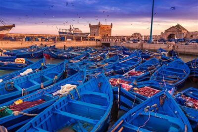Full Day Trip To Essaouira From Marrakech
