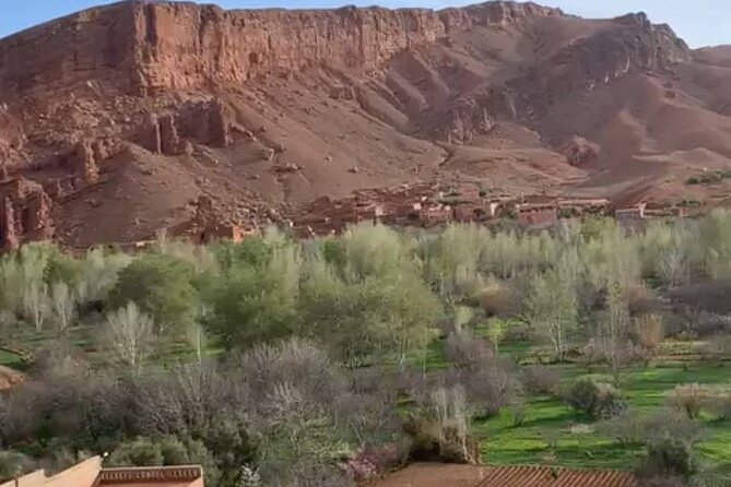 Full Day Trip to Ouarzazate and Ait Benhaddou from Marrakech - Is the low price good value?