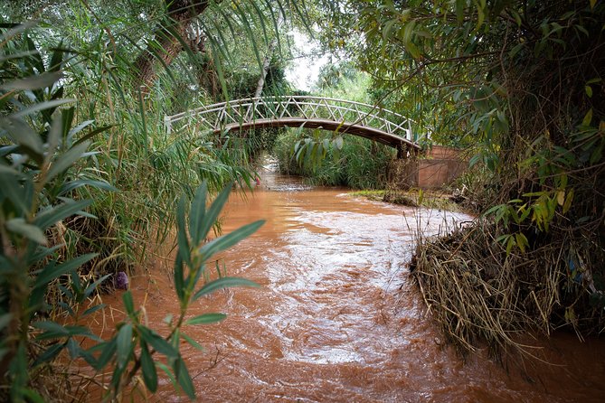 Full Day Trip To Ouzoud Waterfalls From Marrakech & Boat Tour - The Boat Ride Beneath the Falls
