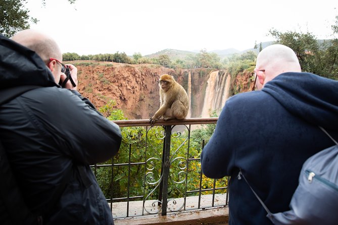 Full Day Trip To Ouzoud Waterfalls From Marrakech & Boat Tour - Barbary Macaques and the River Valley