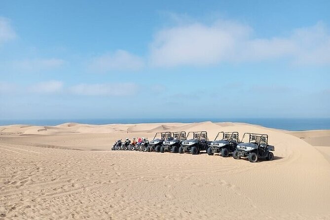Fun buggies in Agadir Forest and Beach Dunes - Key points to know before booking