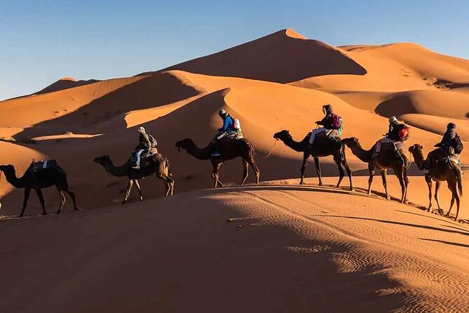 Group 3-Day Marrakech to Merzouga Desert Tour - What the $145.39 price really buys you