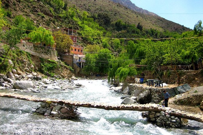 Group shared day tour to Ourika valley & Atlas Mountains - Waterfalls, flowers, and time at your own pace