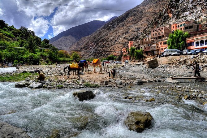 Group shared day tour to Ourika valley & Atlas Mountains - A practical 9 a.m. start from Marrakech