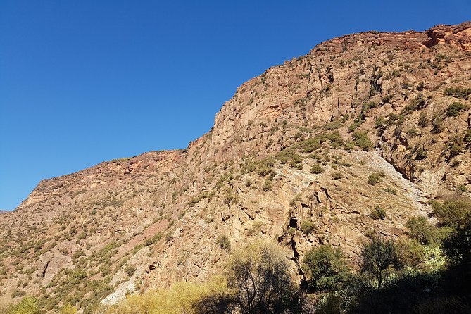 Half-Day Atlas Mountains Tour From Marrakech - Is $80.26 a fair price?