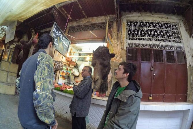 Half-Day Guided Tour in Fes - Bab Boujloud, the blue gate into Fes
