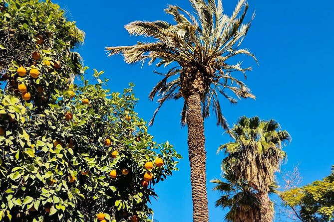 Half Day Guided Tour in Marrakech History & Culture - The Souk of Dyers and its hanging colors
