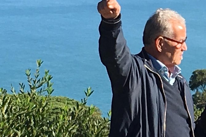 Half-Day Highlights of Tangier Tour with Pick Up - What the private minivan changes