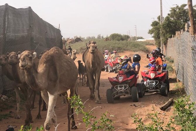 Half Day Quad in Agadir - Across sand dunes, forest, and rural tracks