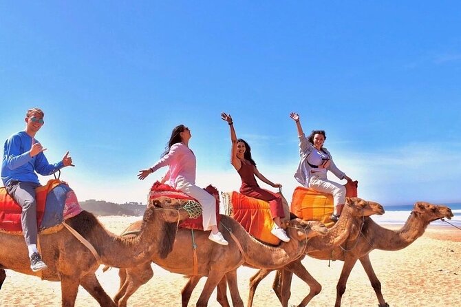 Half-Day Tangier Private Tour & Camel Ride & Colorful Markets - A smart first look at Tangier in four to five hours