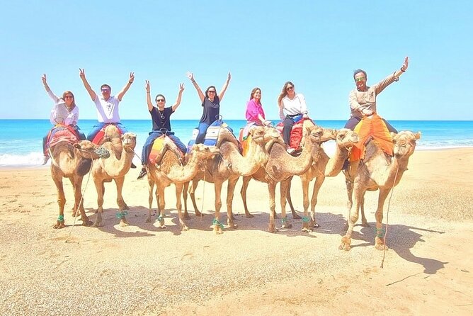 Half-Day Tangier Private Tour & Camel Ride & Colorful Markets - The Kasbah and Dar el Makhzen