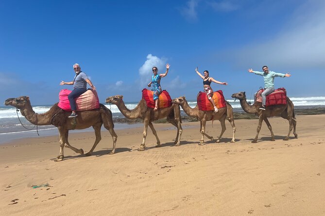 Half-Day Tangier Private Tour & Camel Ride & Colorful Markets - Two hours inside the medina and Petite Socco