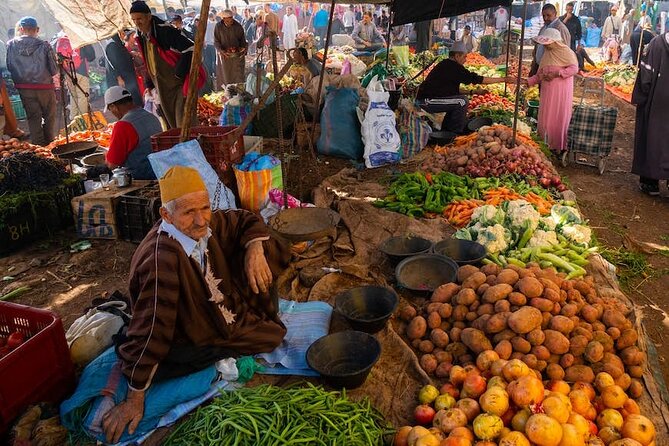 High Atlas Mountains and Imlil Valley Tour from Marrakesh - Camel rides and route changes
