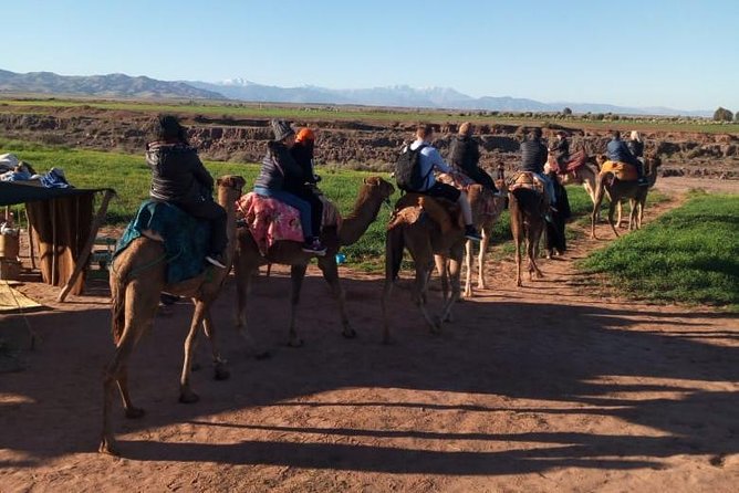 High Atlas Mountains Day Trip and Camel Trek - Berber villages and a closer look at mountain life