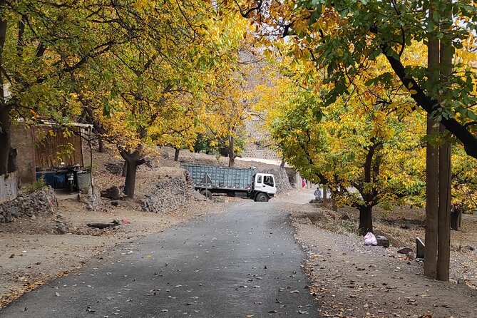 High Atlas Mountains Day Trip and Camel Trek - Waterfalls, tea, and the rhythm of the walk