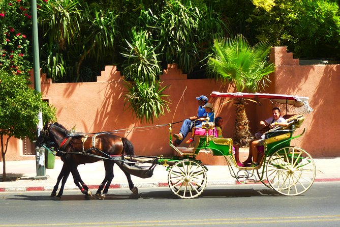 Horse and Carriage Ride with Majorelle Garden - Price and value at $53.50 per person