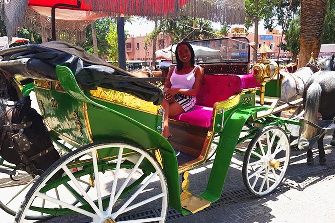 Horse and Carriage Ride with Majorelle Garden - Majorelle Garden: the main attraction