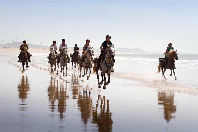 Horse Ride on the Beach in Essaouira - Key points to know before you book