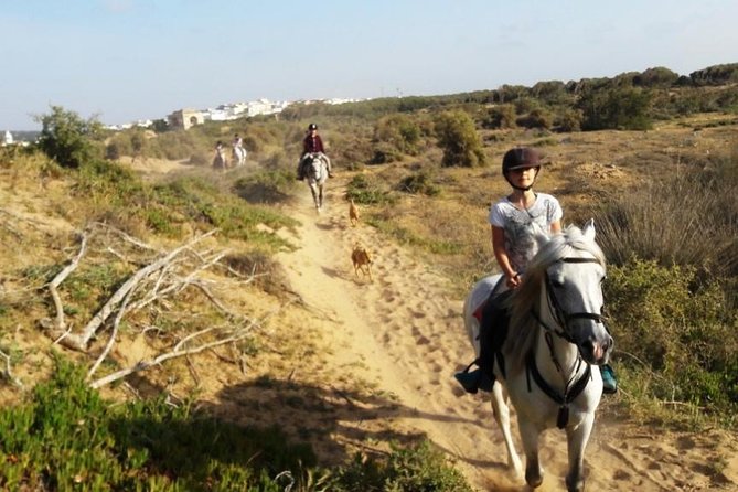 Horse Ride on the Beach in Essaouira - Leaving Essaouira for the stables