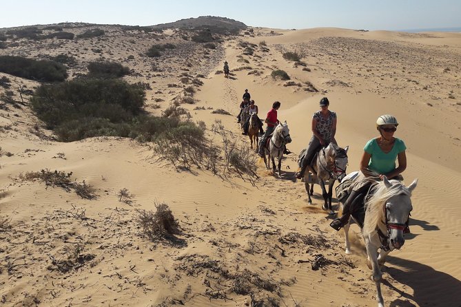 Horse Ride on the Beach in Essaouira - Riding the beach beside the sea
