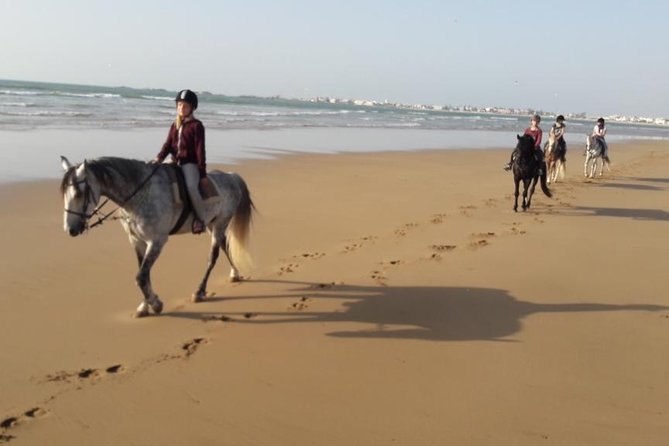 Horse Ride on the Beach in Essaouira - How the $40.71 price holds up