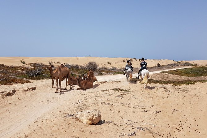 Horse Ride on the Beach in Essaouira - Crossing the dunes toward the Atlantic