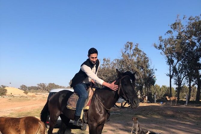Horse Riding Agadir - What the Agadir horse ride is really like