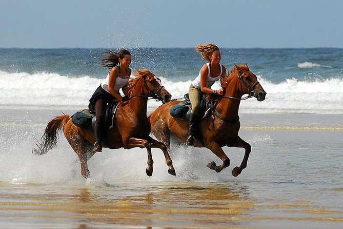 Horse Riding Agadir - Choosing the right horse and pace