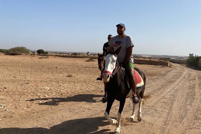 Horse Riding Agadir - Through the eucalyptus forest
