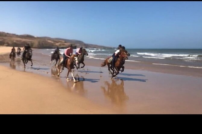 Horse Riding Agadir - Following the Souss Massa River