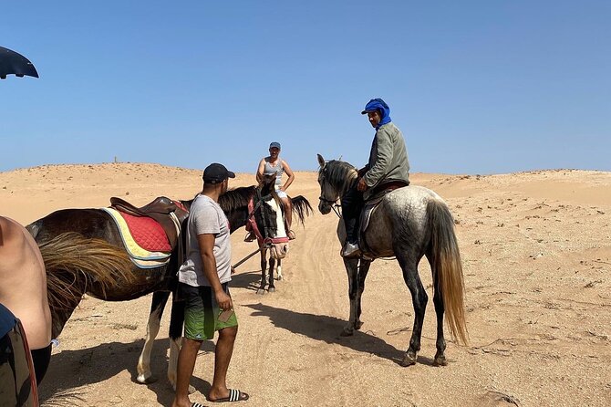 Horse Riding Agadir - The beach question deserves careful attention