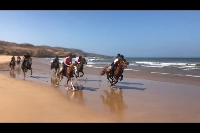 Horse Riding Agadir - Wildlife adds interest, but luck sets the rules