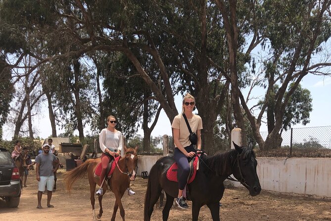 Horse Riding Agadir - Hotel pickup keeps the start simple