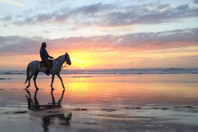 Horse riding at sunset for 2 hours - Key points to know before booking