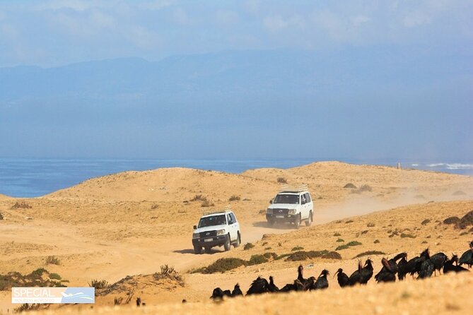 Jeep 4x4 Safari Atlantic Ocean & Desert Dunes with Berber Lunch - Youssef Ben Tachfine Dam and wide inland views