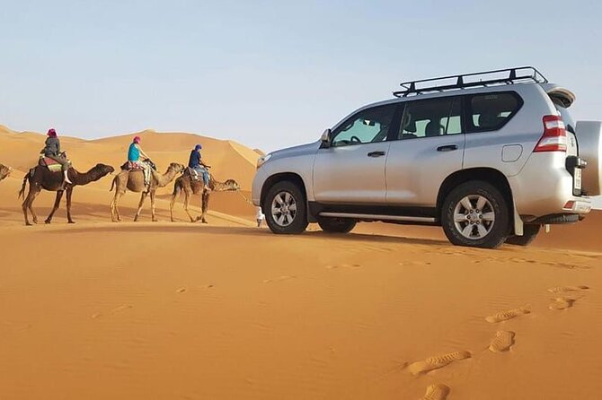 Jeep safari 4x4 mini sahara desert with Berber Lunch - Key points to know before booking