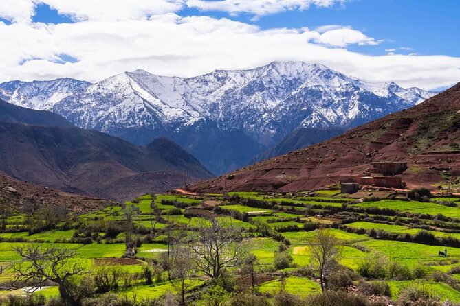 Lunch in the High Atlas: Ourika Valley Waterfalls & 3 Valleys - The Imlil waterfall walk needs realistic expectations