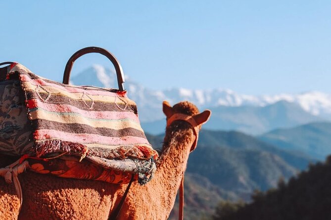 Lunch in the High Atlas: Ourika Valley Waterfalls & 3 Valleys - Mint tea, dinner, and the campfire program