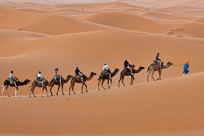 Luxury 2-Days Desert Trip from Fes to.:( fes or marakech) - From Fez at 8 a.m. to the Middle Atlas