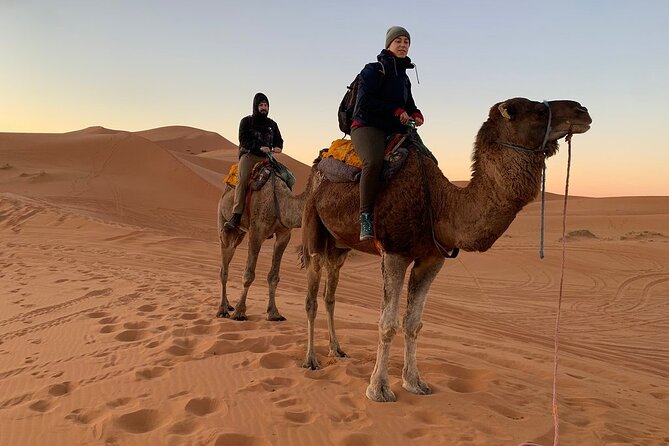 Luxury 2-Days Desert Trip from Fes to.:( fes or marakech) - Dinner, music, stars, and sunrise