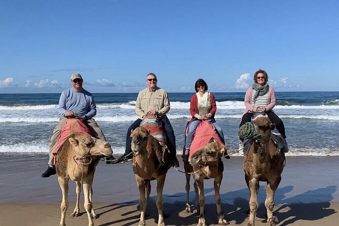 luxury 4 Hour Private Tour of Tangier - The Kasbah and Kasbah Museum