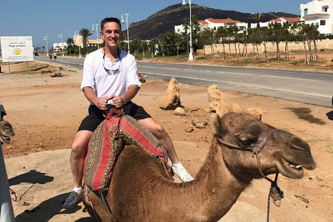 luxury 4 Hour Private Tour of Tangier - Parc Perdicaris and Tangier’s international past