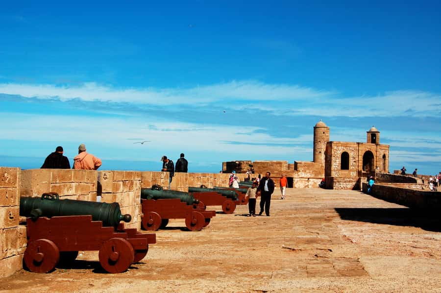Luxury day trip to Essaouira from Marrakech - Goats, argan trees, and a useful local stop