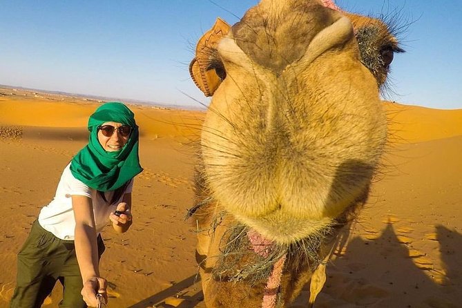 LUXURY Desert Camp: 3 Days Marrakech to Merzouga and Camel Trek - What the $220.42 price really buys you