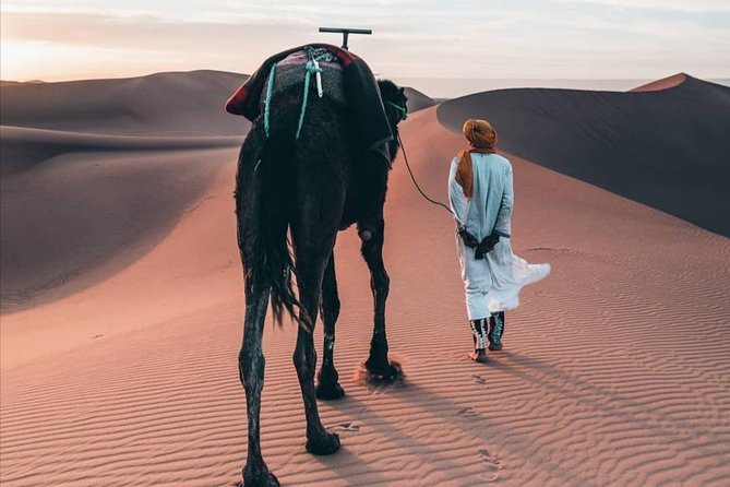 LUXURY Desert Camp: 3 Days Marrakech to Merzouga and Camel Trek - The Merzouga luxury tent: comfort with desert limits