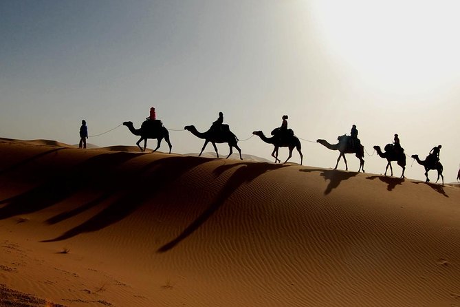 luxury desert tour 3days 2 night fez merzouga ouarzazat marakech - Merzouga after sunset: camels, dunes, and camp comfort
