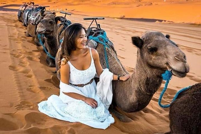Luxury Overnight From Fez To Merzouga - 8:00 a.m. pickup and the Middle Atlas crossing