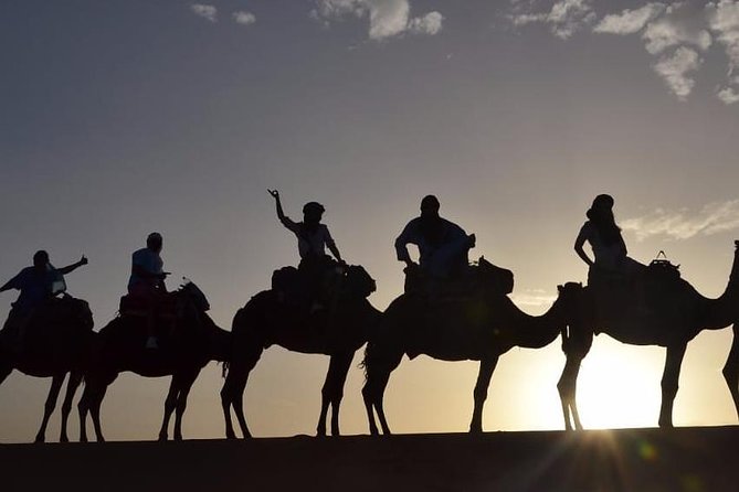 Luxury Overnight From Fez To Merzouga - Azrou and the Barbary apes